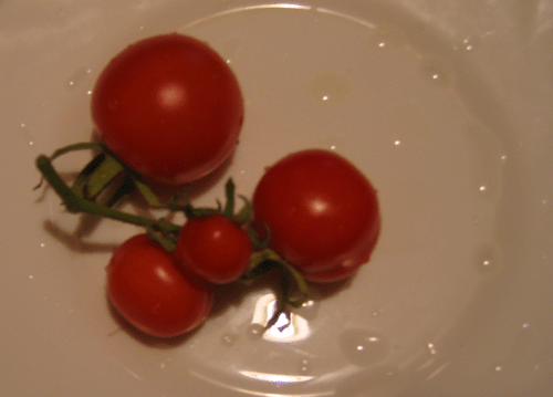 В декабре на балконе в Москве выросли и вызрели помидоры